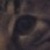 :iconinut0pia: