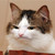 :iconinutaisho-loves-you: