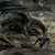 :iconinuyama777: