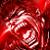 :iconinuyasha-911: