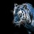 :iconinuyasha0560: