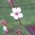 :iconinuyasha20: