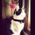 :iconinvader-lesley: