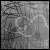 :iconinvader-tom: