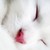 invaderkat123 :iconinvaderkat123: