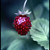 :iconinvaderkitkat: