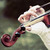 :iconinvadermea: