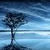 :iconinvigorated11: