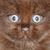 :iconinvisibleapplejuice: