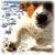 :iconinwalinda: