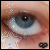 :iconinyourveins: