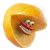 :iconinzanadi: