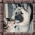 :iconiou001: