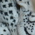 :iconiownawatch: