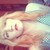 :iconiponeddyou: