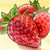 :iconipromiseitsnotpoison: