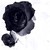 :iconipy1995: