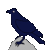 :iconirawari:
