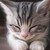 irekkapuc :iconirekkapuc: