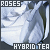 :iconirenesleeper: