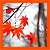 IrePausini :iconirepausini: