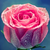 :iconireth16: