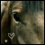 :iconiridescent-equine: