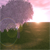 :iconiridescent-midnight: