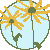 :iconiridial: