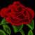 :iconiridion22: