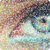 :iconiriefy:
