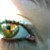 :iconiris2summer: