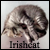 :iconirishcat: