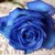 :iconirishdancer1199: