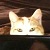 :iconirishmutt: