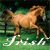 :iconirishshamrock12:
