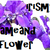 :iconirismynameandaflower: