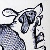 :iconiristerwisscha: