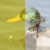 :iconirkeninvaderyaz: