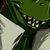 :iconirkenzar: