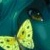 :iconirlandfae: