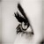 :iconirmawitchwater: