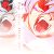 :iconirockmiipod: