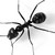 :iconiron-ant: