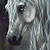 :iconironaid: