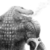 :iconironalligator: