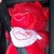 :iconironed-bandanna: