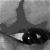 :iconironedlotus: