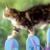 :iconironfang101: