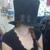 :iconironictraveler: